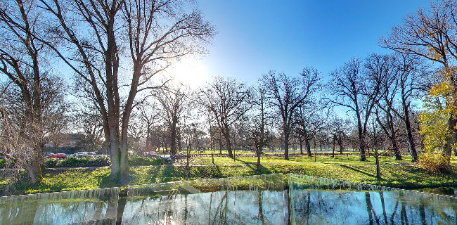 Ilex Café - Hospitality and gastronomy