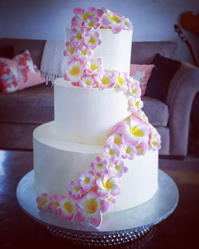 Opinii despre Cake Collective în Napier - Hospitality and gastronomy