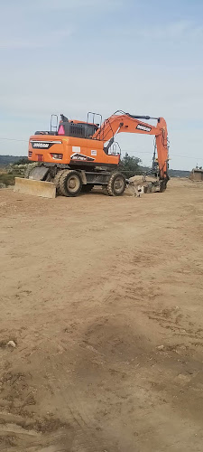 Freida Margolis - Hospitality and gastronomy