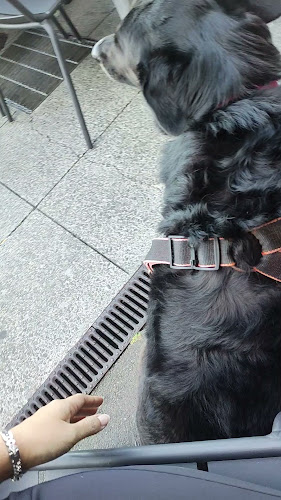 4 Taranaki Street, Wellington Central, Wellington 6011, New Zealand