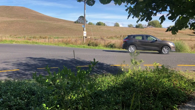 Opinii despre Native Tree Cafe în Thames - Hospitality and gastronomy