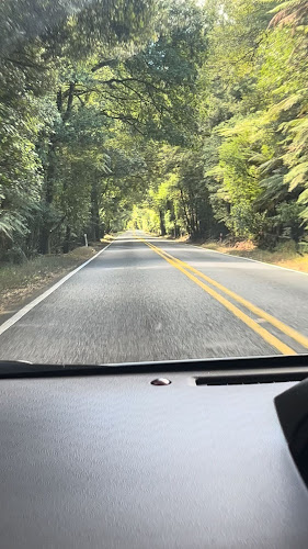 1196 State Highway 5, Tapapa 3485, New Zealand