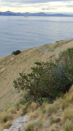 Comentarii opinii despre Careys Bay Historic Hotel