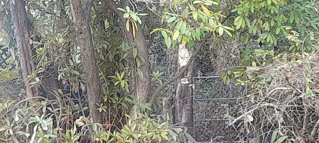 36 Commerce Street, Tokoroa 3420, New Zealand