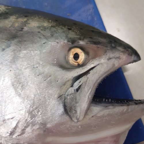 18 Fryatt Street, Dunedin 9012, New Zealand