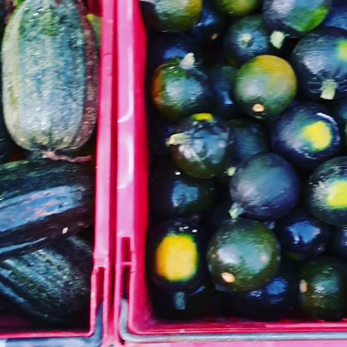 Volcanic Country Produce - Whangārei