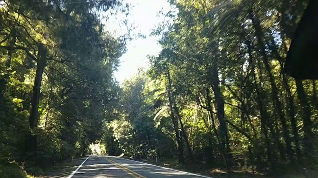 Fitzgerald Glade - Hospitality and gastronomy