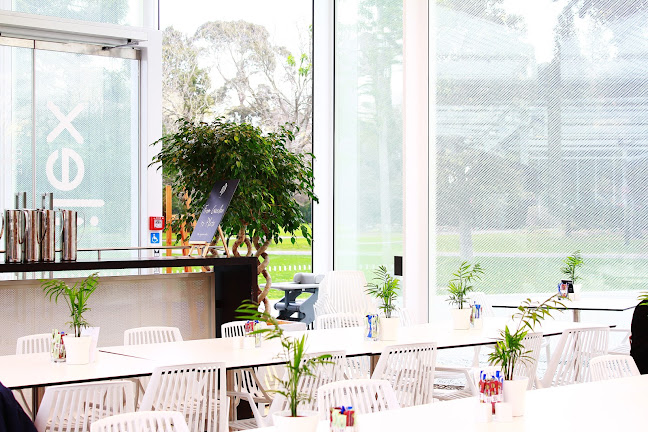 Ilex Café - Christchurch