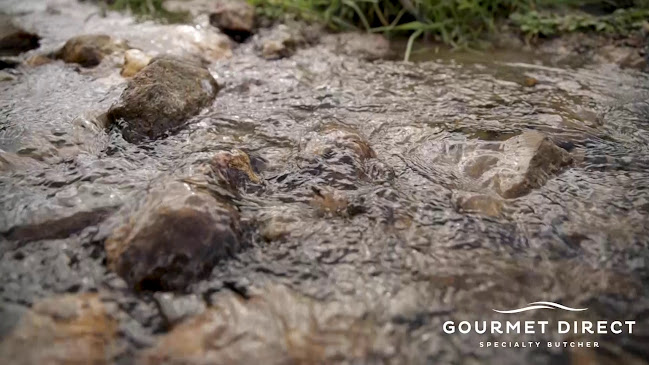 Gourmet Direct - Speciality Butcher - Napier