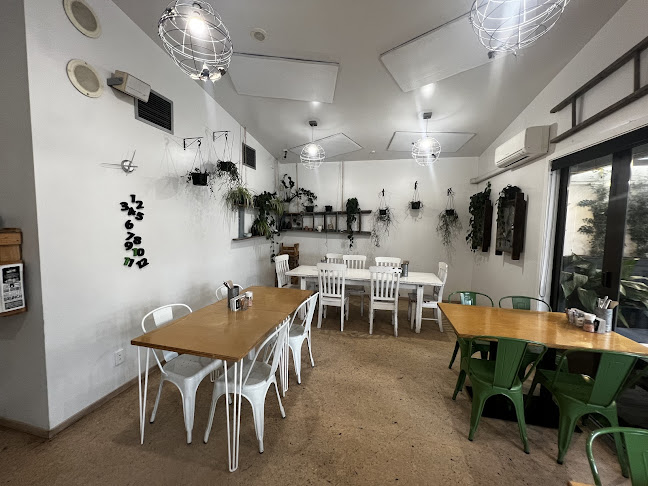 Town Mouse - Hospitality and gastronomy