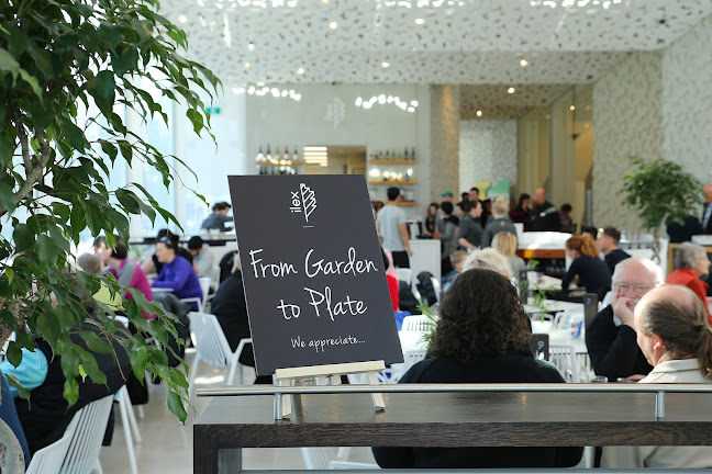 Ilex Café - Christchurch