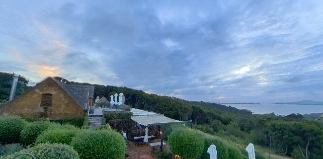 The Archive Bar & Bistro