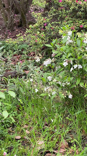 126 Oxford Terrace, Christchurch Central City, Christchurch 8013, New Zealand