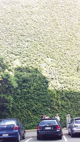 Mama Brown - Wellington