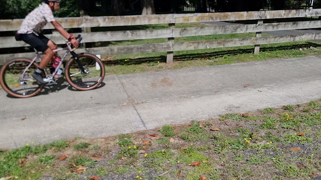 Phat Pattie - The Burger Shop - Ngāruawāhia