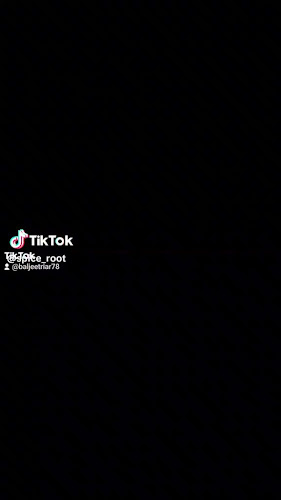 Spice Root Indian Restaurant & Bar - Hospitality and gastronomy