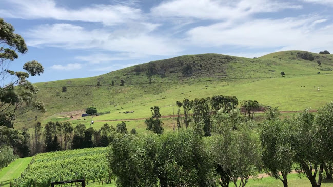 Stonyridge Vineyard Open Times