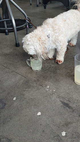 BEERS by Bacon Brothers - Christchurch