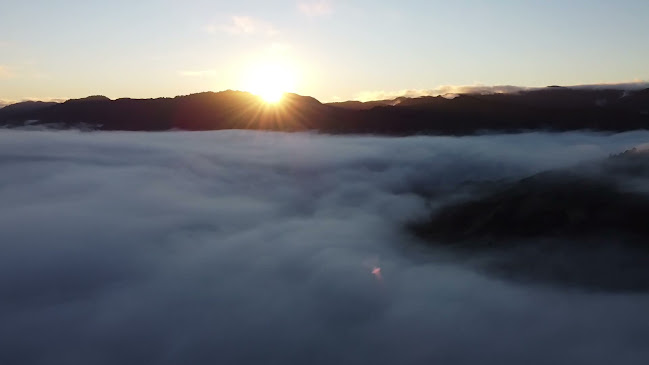 Opinii despre Te Tii Ruatahuna - Cafe, Store and Accommodation în Ruatahuna - Hospitality and gastronomy