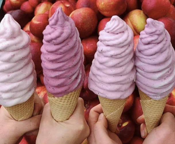 3 MacLean Street, Paraparaumu Beach 5032, New Zealand