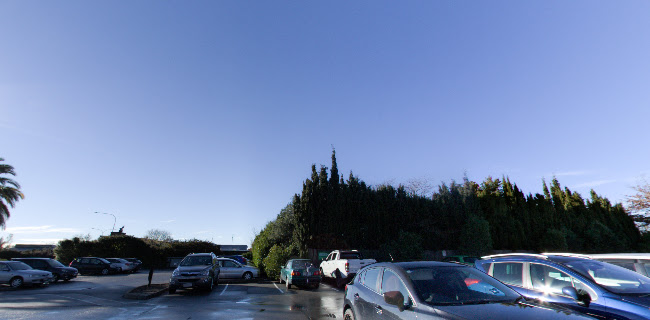 Revival Café & Coffee - Hospitality and gastronomy