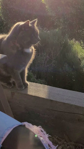 The Archive Bar & Bistro - Hospitality and gastronomy