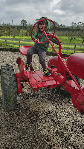 Blossoms Cafe - Riverhead