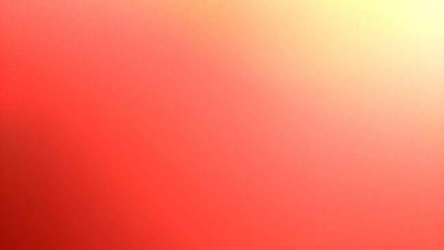 Comentarii opinii despre The Backyard Bar & Restaurant