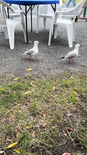 Kaikoura Seafood BBQ Kiosk Open Times
