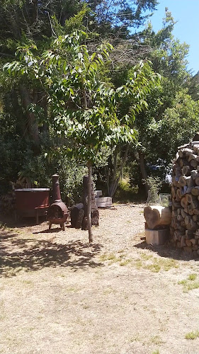 Opinii despre Bus Stop în Te Horo Beach - Hospitality and gastronomy