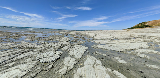 Kaikoura Seafood BBQ Kiosk