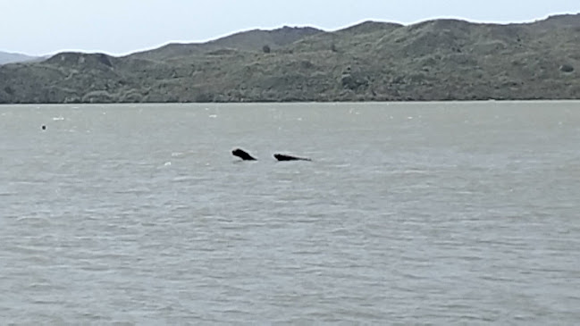 Boatshed Cafe - Hospitality and gastronomy