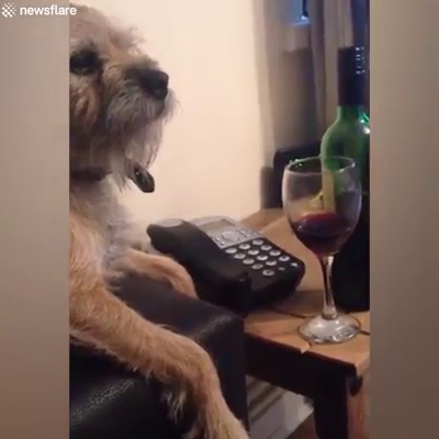 Clubs of Marlborough