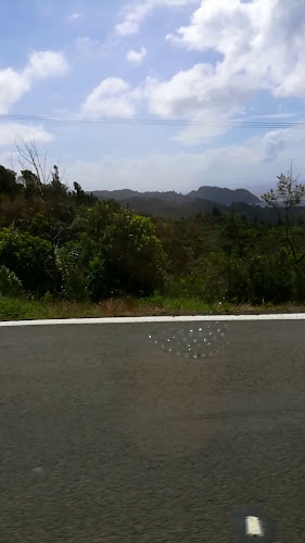 Columbus Coffee - Hospitality and gastronomy