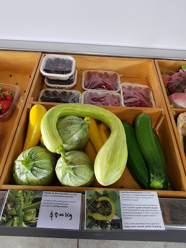 Comentarii opinii despre Pomona Gardens