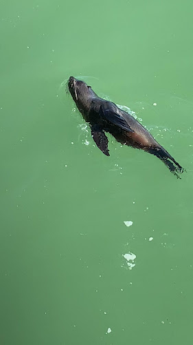 Comentarii opinii despre The Gintrap Restaurant & Bar