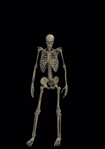 109 Mana Esplanade, Mana, Porirua 5026, New Zealand