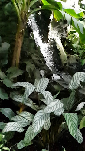 Botanic Christchurch - Hospitality and gastronomy