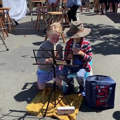 The Nelson Market Open Times