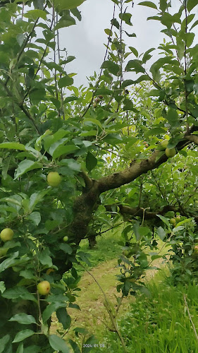 Riverhead Ice Cream - Kumeū