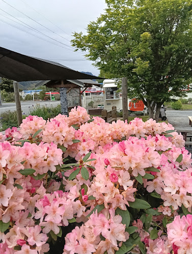 Opinii despre Tutaki Bakery în Richmond - Hospitality and gastronomy