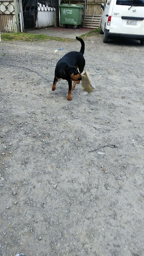 Comentarii opinii despre Preet Sweets And Takeaway Tepuke