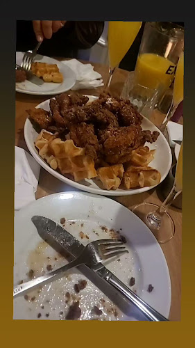 The Zookeeper's Son - Hospitality and gastronomy