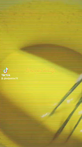 Comentarii opinii despre Spice Root Indian Restaurant & Bar