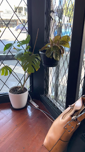 Reviews of Dido Cafe in Auckland - Hospitality and gastronomy