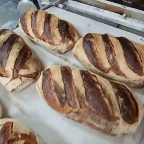 Shelly Bay Baker - Hospitality and gastronomy