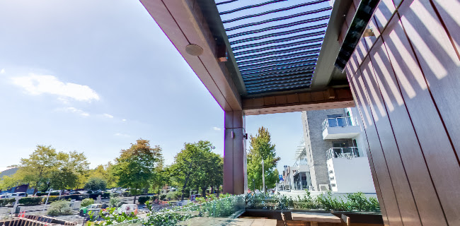 Comentarii opinii despre The Fine Lion