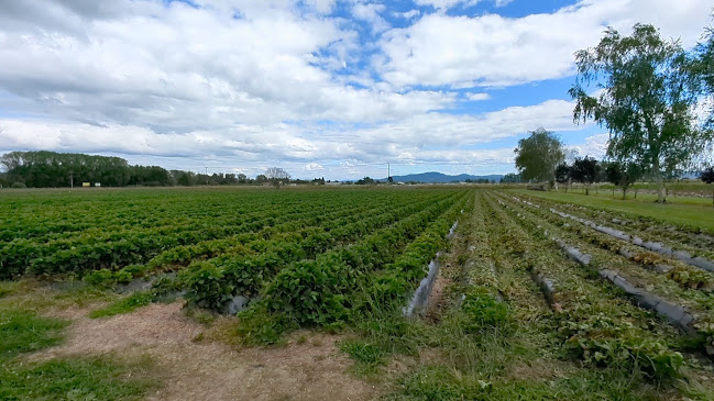 12 Huna Road, Coastlands 3191, New Zealand