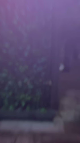 Super Casual Bar & Eatery