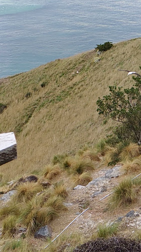 17 Macandrew Rd, Careys Bay, Dunedin 9001, New Zealand